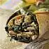 Wraps met zalm en spinazie
