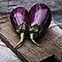 Aubergine salade