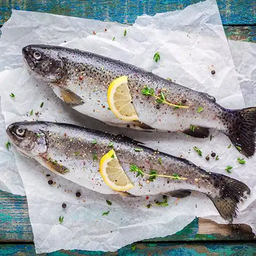Forel met mierikswortel uit de oven