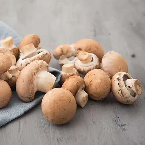 Gegratineerde paddenstoelen