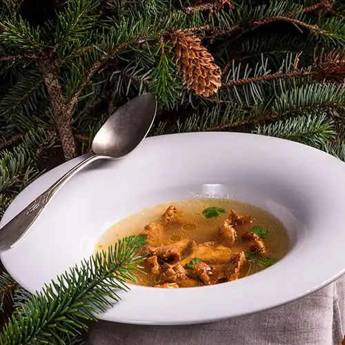 Pittige paddenstoelenbouillon
