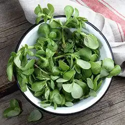 Tip: Postelein salade met appel en aardbeien