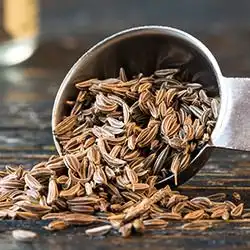 Tip: Spitskool met karwijzaad