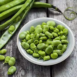 Tip: Tuinbonen salade