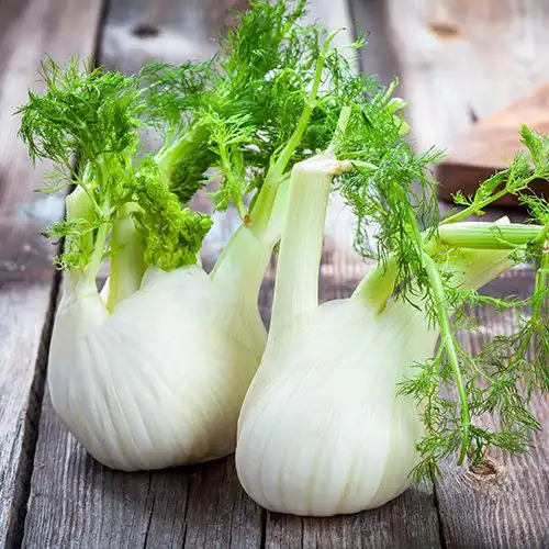Venkelsalade met tomaat