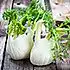 Venkelsalade met tomaat