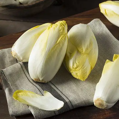 Witlof met gorgonzolasaus