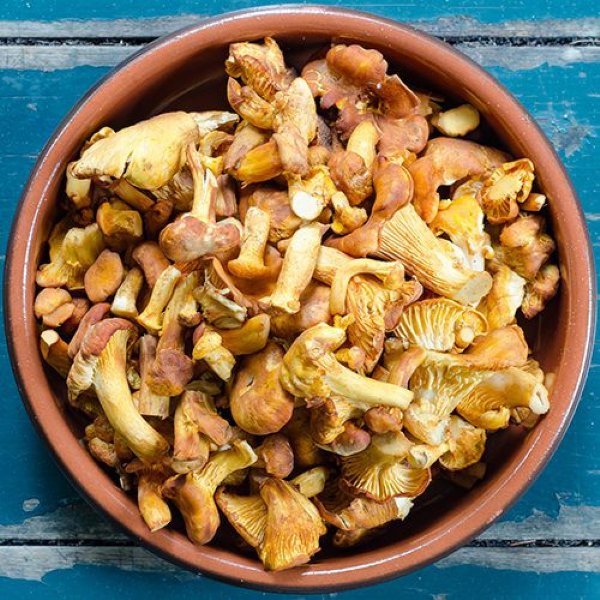 Wildbouillon met cantharellen recept okoko recepten