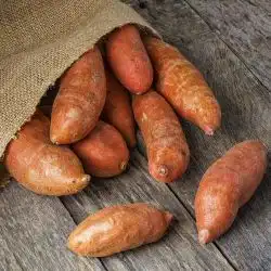 Alle zoete aardappelen recepten