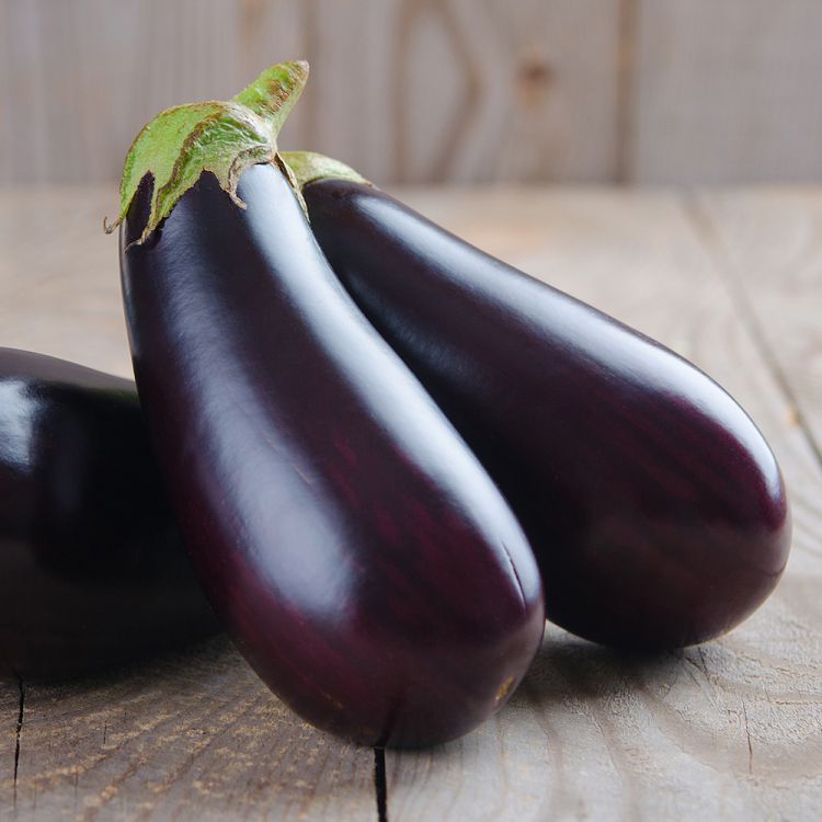 Aubergine