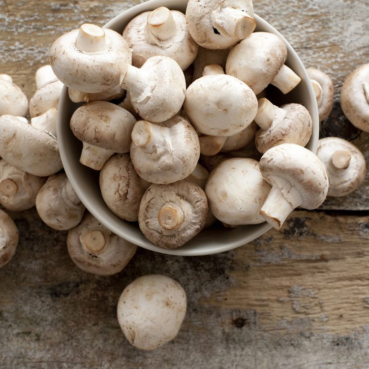 Champignons