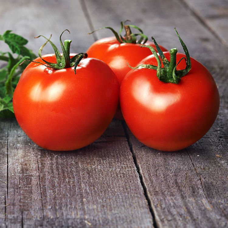 Tomaten