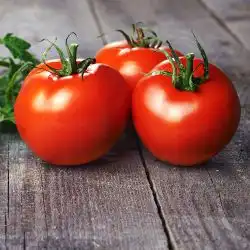 Alle gevulde tomaten recepten