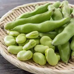 Alle tuinbonen recepten