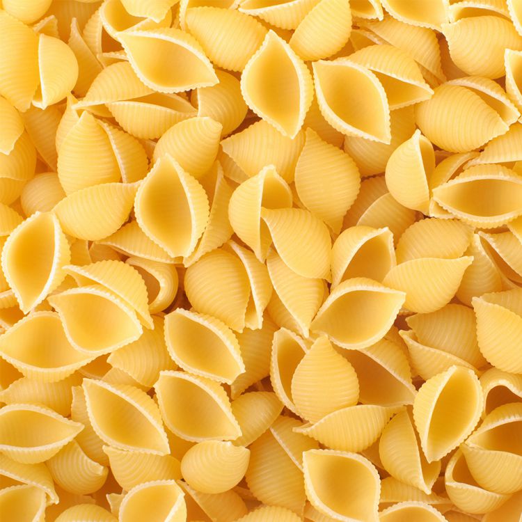 Conchiglie