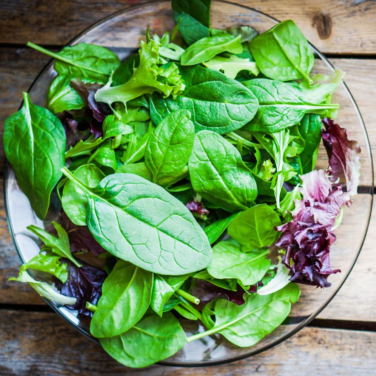 Groene salade